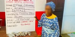 NDLEA arrests 101-year-old woman with 90g skunk in Ogun State