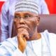 Adeniyi Olowofela criticises Atiku Abubakar over comments about Tinubu