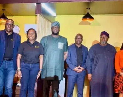 Distributed solar energy systems helping expand electricity access in Nigeria