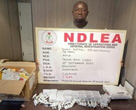 NDLEA arrests herbal tea businessman over Saudi-bound cocaine shipment
