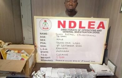 NDLEA arrests herbal tea businessman over Saudi-bound cocaine shipment