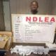 NDLEA arrests herbal tea businessman over Saudi-bound cocaine shipment