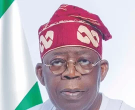 President Tinubu discusses NCGC's N46.95 billion credit guarantee scheme.