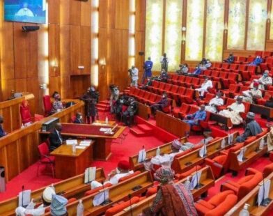 Nigerian Senate extends 2025 capital budget implementation to December 31 2026