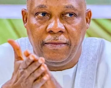 Kashim Shettima urges African countries to process mineral resources locally