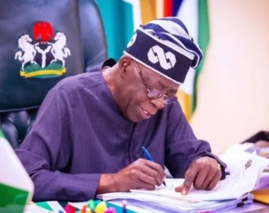 Electricity infrastructure in Nigeria as FG plans a national call centre for power complaints and vandalism reports.
