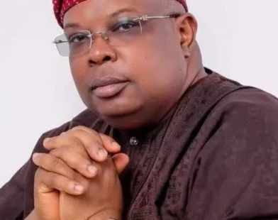 Minister of Power Joseph Tegbe says there is no immediate plan to increase electricity tariffs