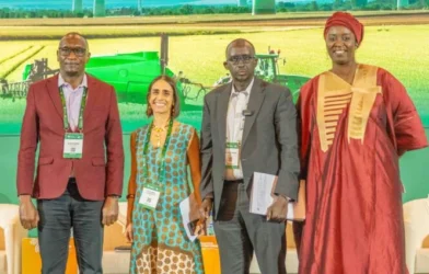 Agricultural stakeholders discuss financing for Africa’s food systems
