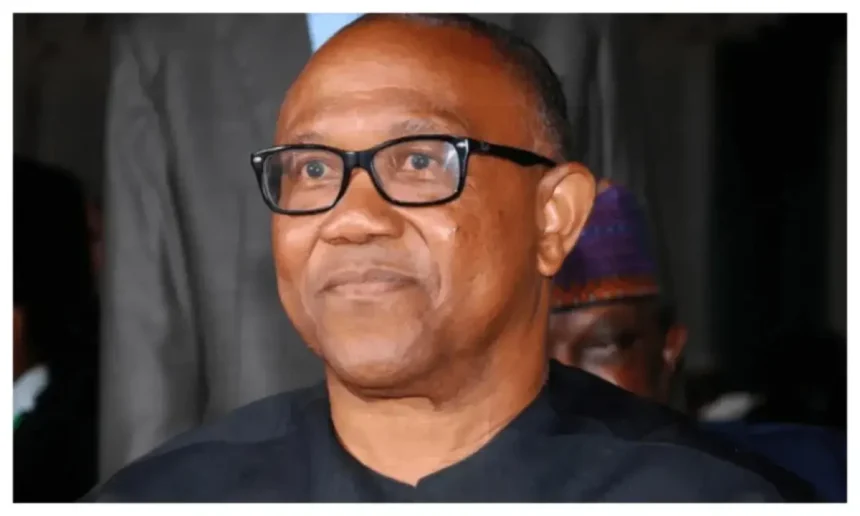 Peter Obi speaks about presidential vacation in Zamfara and Borno