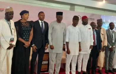 Wheat grains and flour representing Nigeria’s Project WHEAT-NESS initiative.