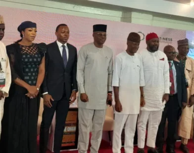 Wheat grains and flour representing Nigeria’s Project WHEAT-NESS initiative.