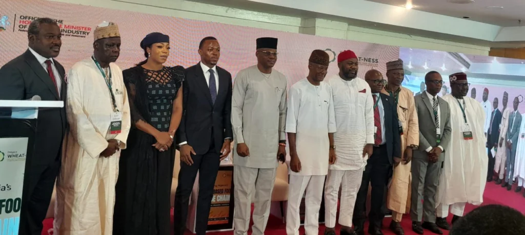 Wheat grains and flour representing Nigeria’s Project WHEAT-NESS initiative.