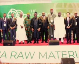 Nigeria’s Minister of Innovation, Science and Technology, Kingsley Udeh, at the Africa Raw Materials Summit 2026.