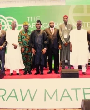 Nigeria’s Minister of Innovation, Science and Technology, Kingsley Udeh, at the Africa Raw Materials Summit 2026.