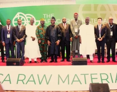 Nigeria’s Minister of Innovation, Science and Technology, Kingsley Udeh, at the Africa Raw Materials Summit 2026.