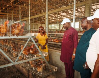 Farmers and agricultural activities supported by the LIFE-ND Project in Delta State, Nigeria.