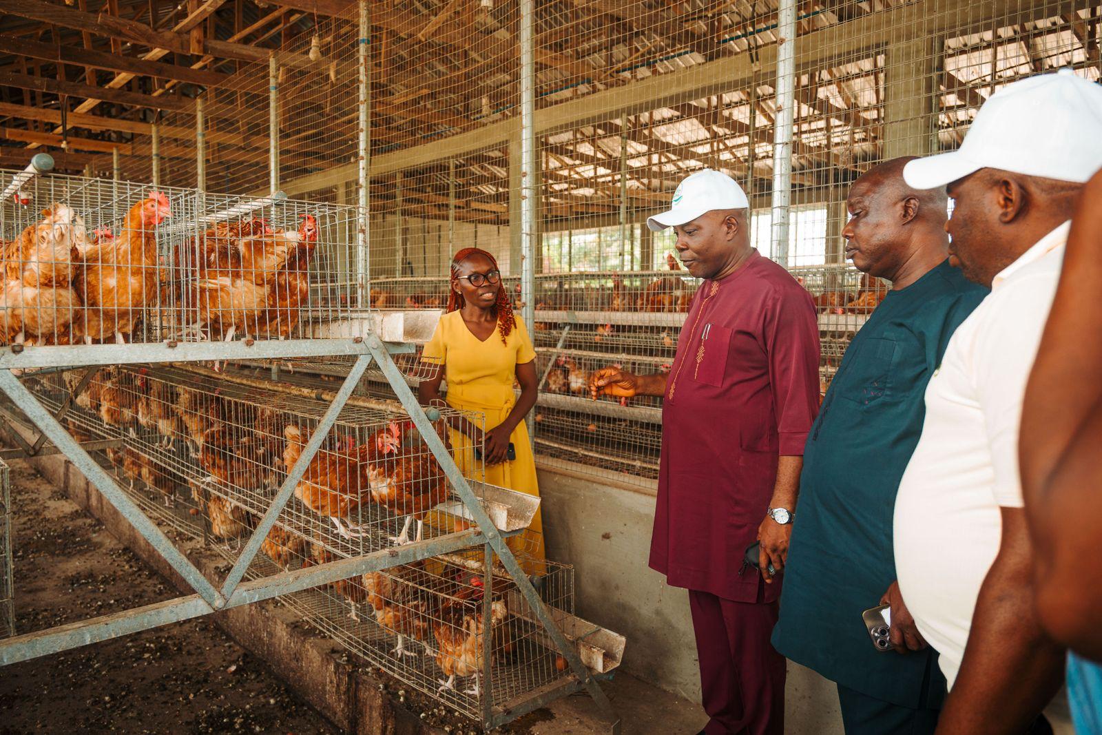 Farmers and agricultural activities supported by the LIFE-ND Project in Delta State, Nigeria.
