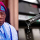 President Bola Tinubu as IMF cautions his government against restoring petrol subsidies in Nigeria.