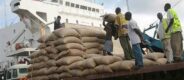 Nigerian farmer working on a farm as food import spending rises