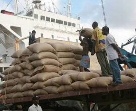 Nigerian farmer working on a farm as food import spending rises